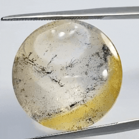 21.90ct Dendrite 20mm