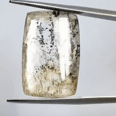 19.95ct Dendrite 22x15mm