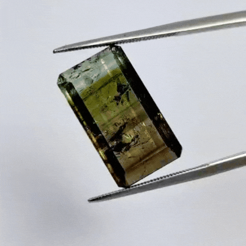 15.05ct Tourmaline Bicolor 18x11mm