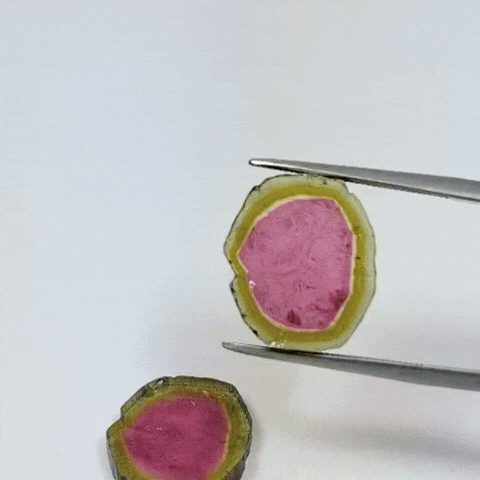 15.75ct Watermelon Tourmaline Pair 16x14mm