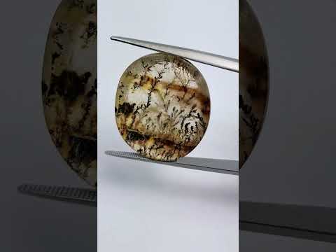 26.35ct Dendrite 26x23mm