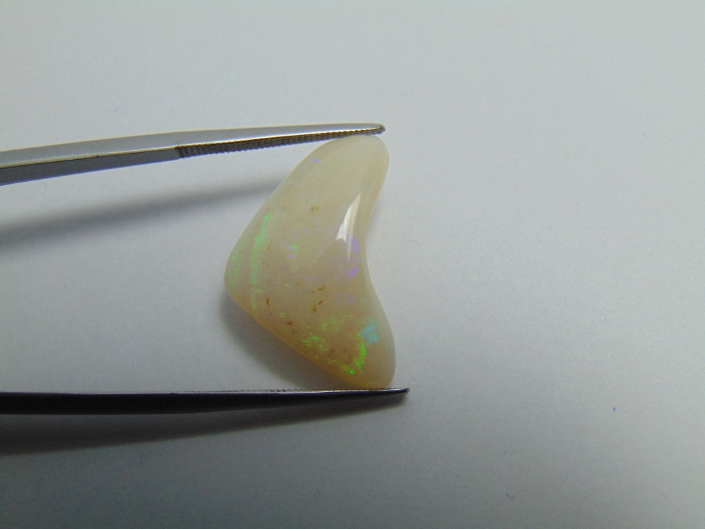 7ct Noble Opal Cabochon 22x14mm