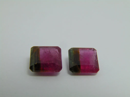 9.75ct Tourmaline Bicolor Pair 10mm