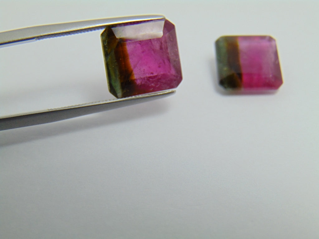 9.75ct Tourmaline Bicolor Pair 10mm