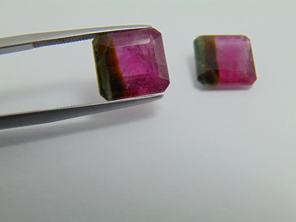 9.75ct Tourmaline Bicolor Pair 10mm