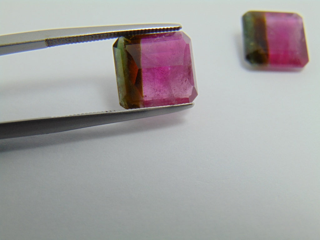 9.75ct Tourmaline Bicolor Pair 10mm