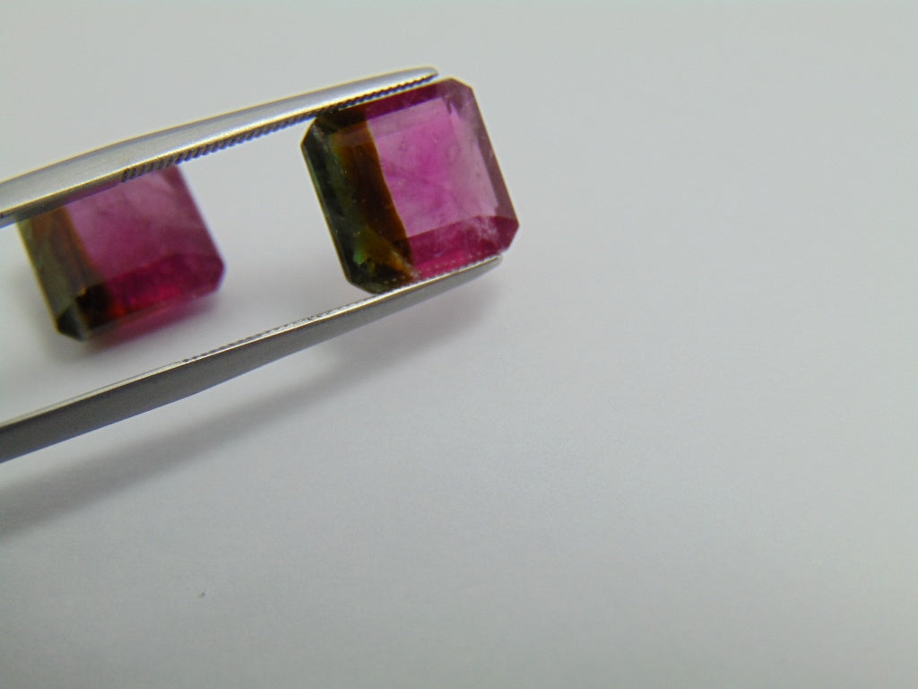 9.75ct Tourmaline Bicolor Pair 10mm