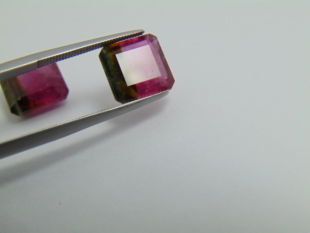 9.75ct Tourmaline Bicolor Pair 10mm