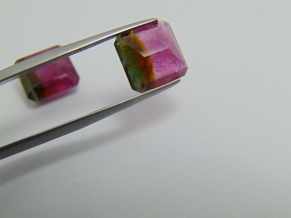 9.75ct Tourmaline Bicolor Pair 10mm