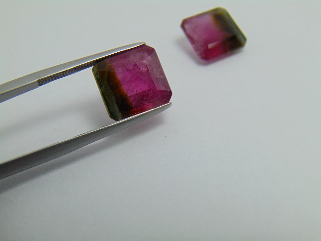 9.75ct Tourmaline Bicolor Pair 10mm