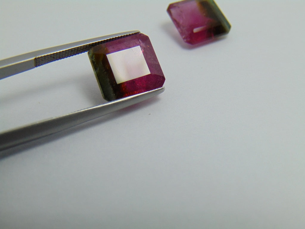 9.75ct Tourmaline Bicolor Pair 10mm