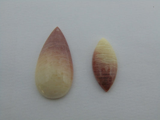 29.90cts Amazonite (Bicolor)