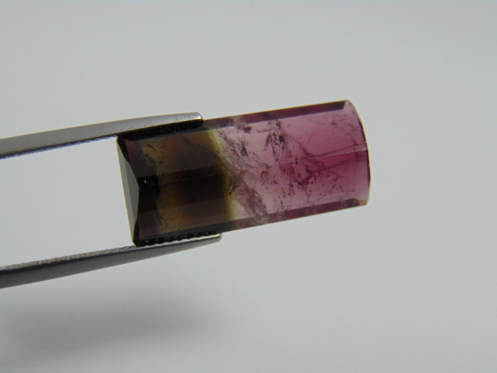 11.80cts Tourmaline (Bicolor)