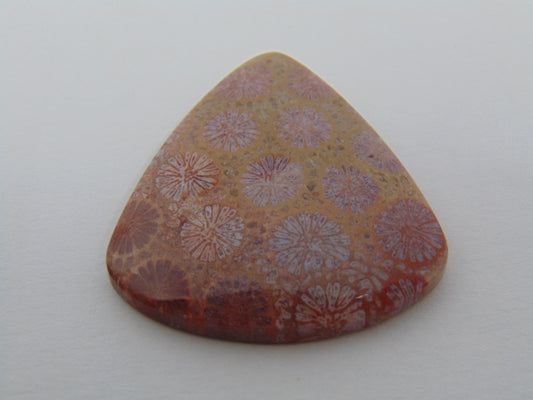 55.20cts Petoskey Stone 37x35mm
