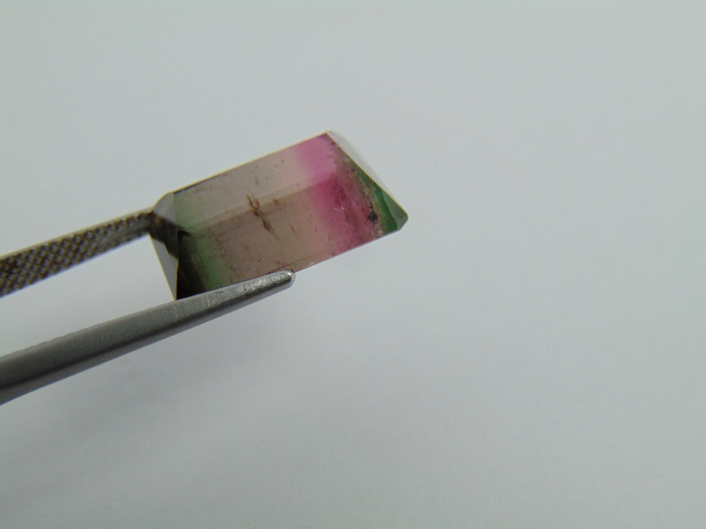 9.90ct Tourmaline Bicolor 15x11mm