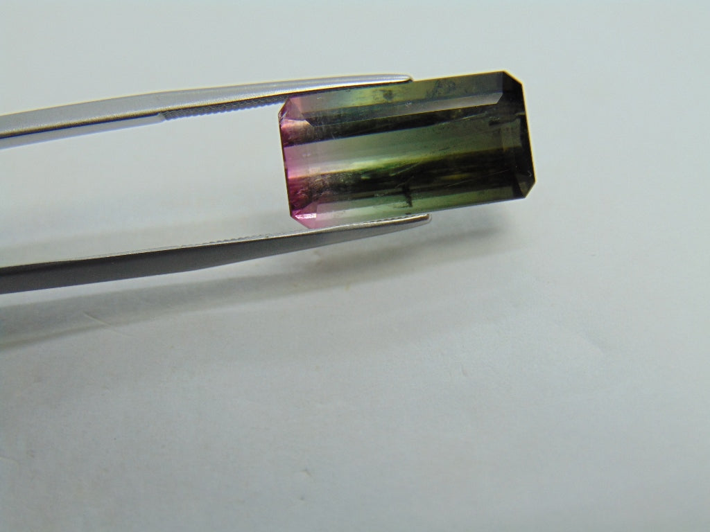 9.88ct Tourmaline Bicolor 9x8mm