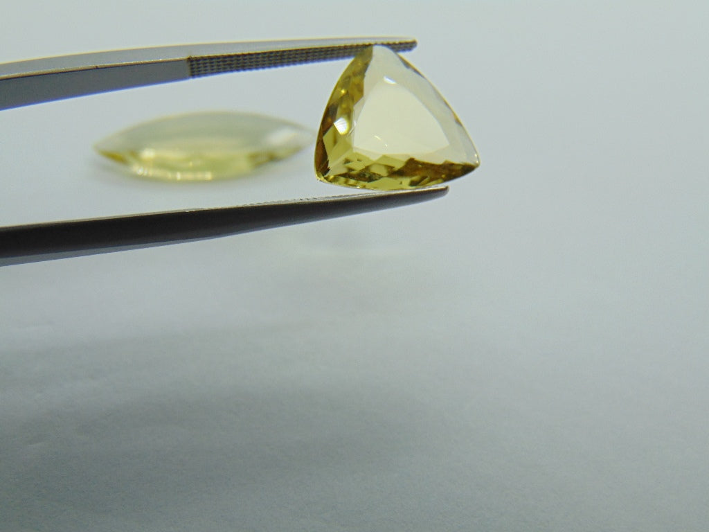 8.60cts Beryl