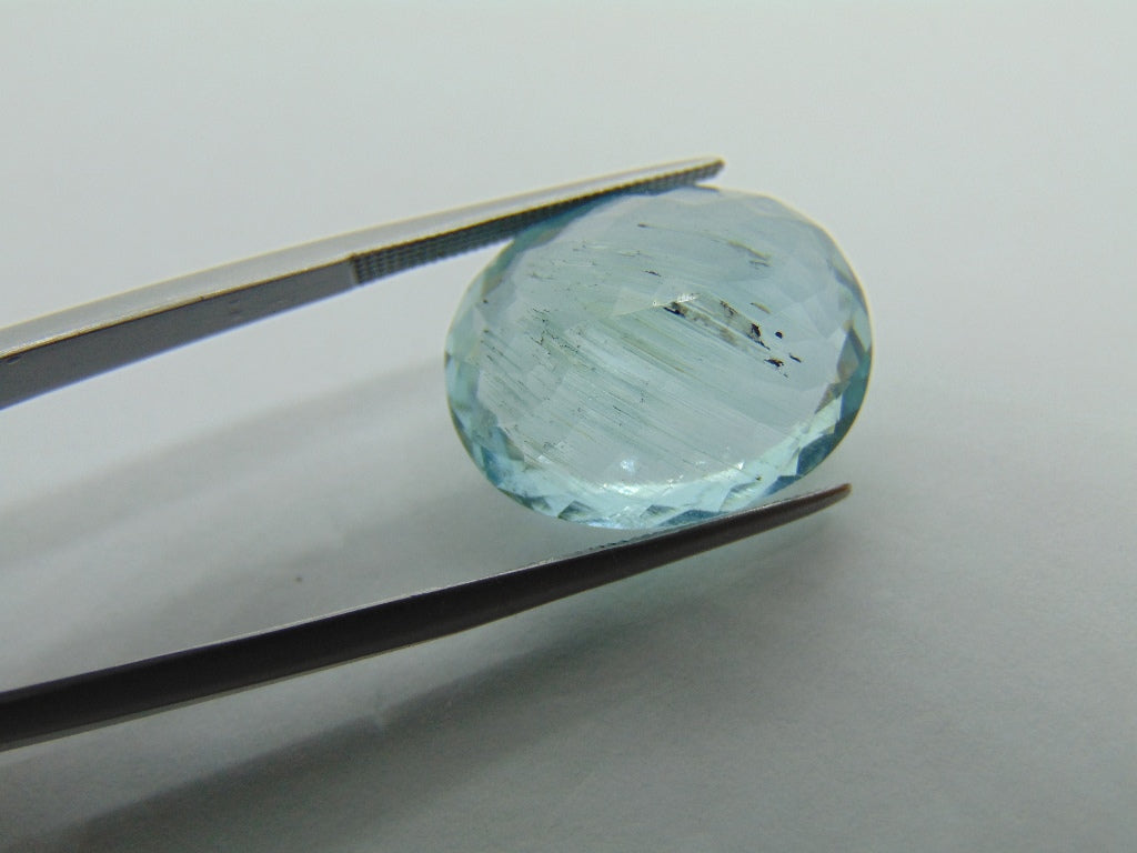 16.80ct Aquamarine With Needle 19x15mm