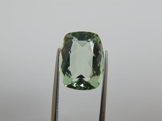 16.10cts Prasiolite 19x14mm