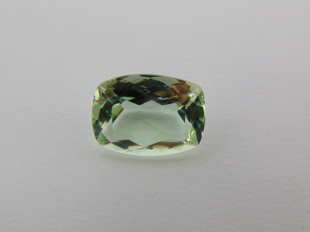 16.10cts Prasiolite 19x14mm