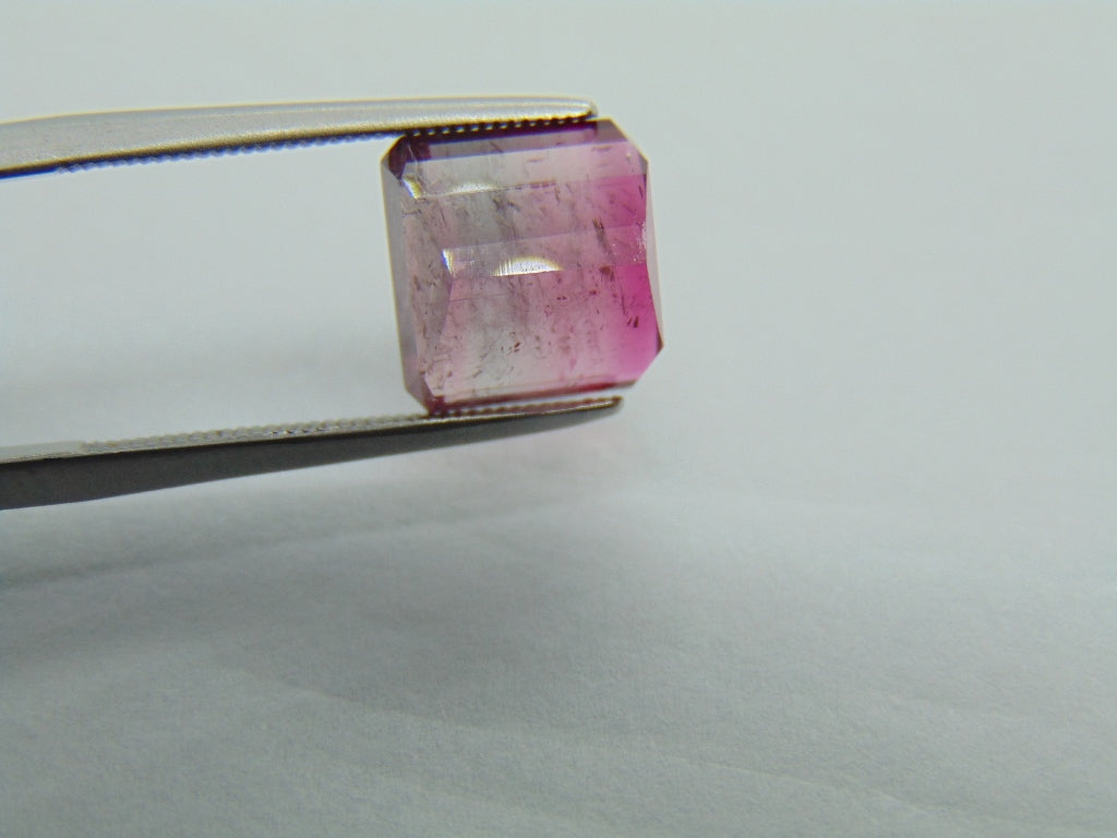 5cts Tourmaline (Bicolor)