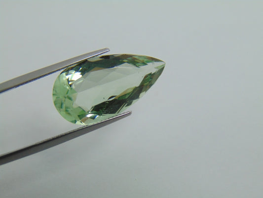 12.90cts Prasiolite