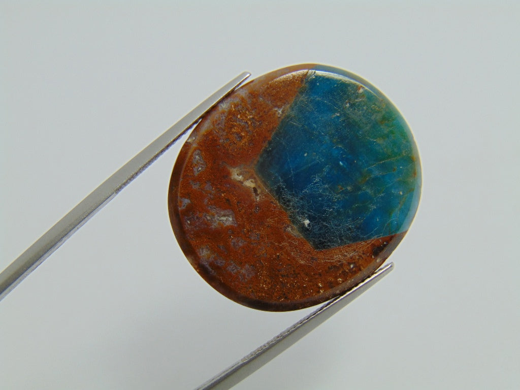 22.20ct Jasper with Apatite 28x25mm