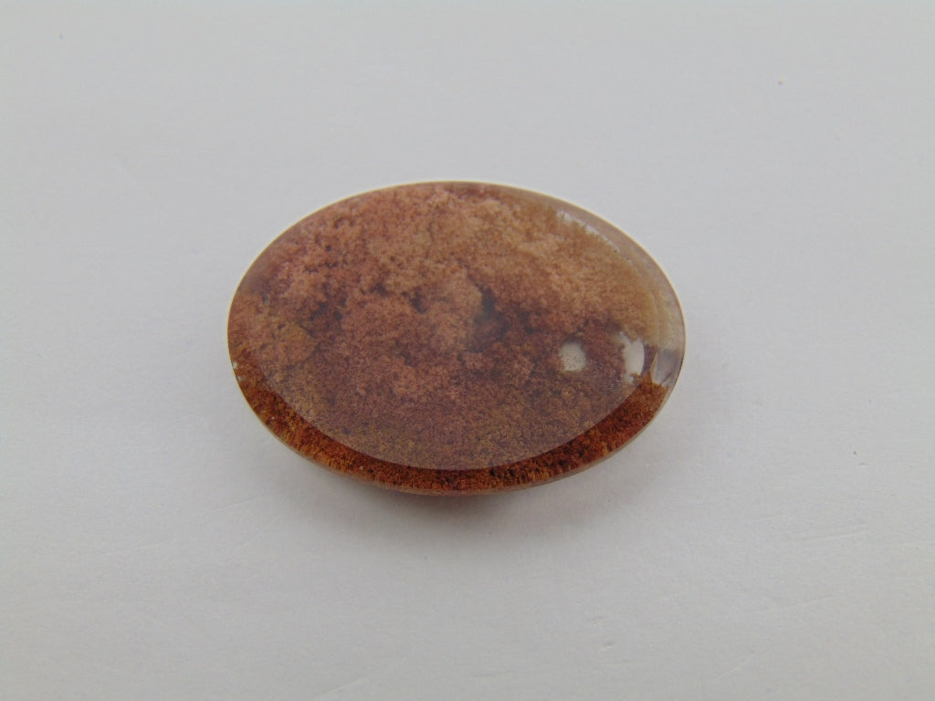 32.60cts Quartz (Lodolite)