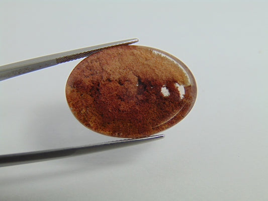 32.60cts Quartz (Lodolite)