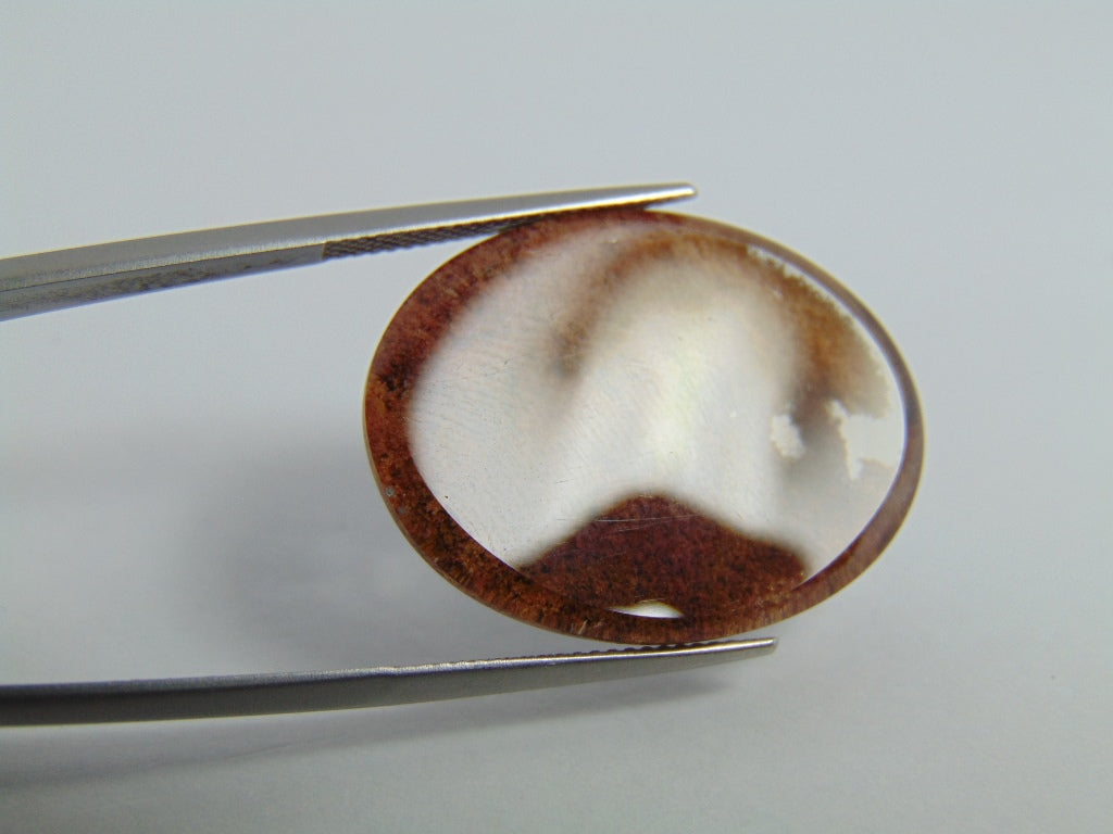 32.60cts Quartz (Lodolite)