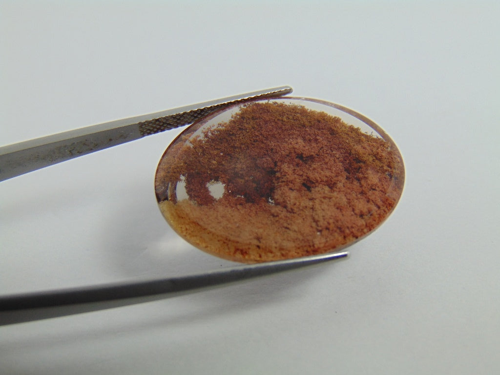 32.60cts Quartz (Lodolite)