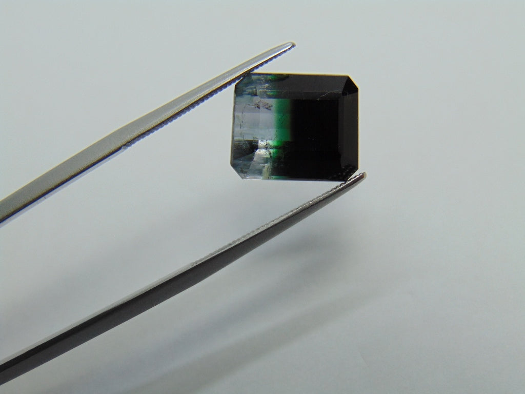7.80ct Tourmaline Bicolor 12x10mm