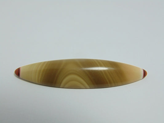 52.80ct Agate 61x16mm