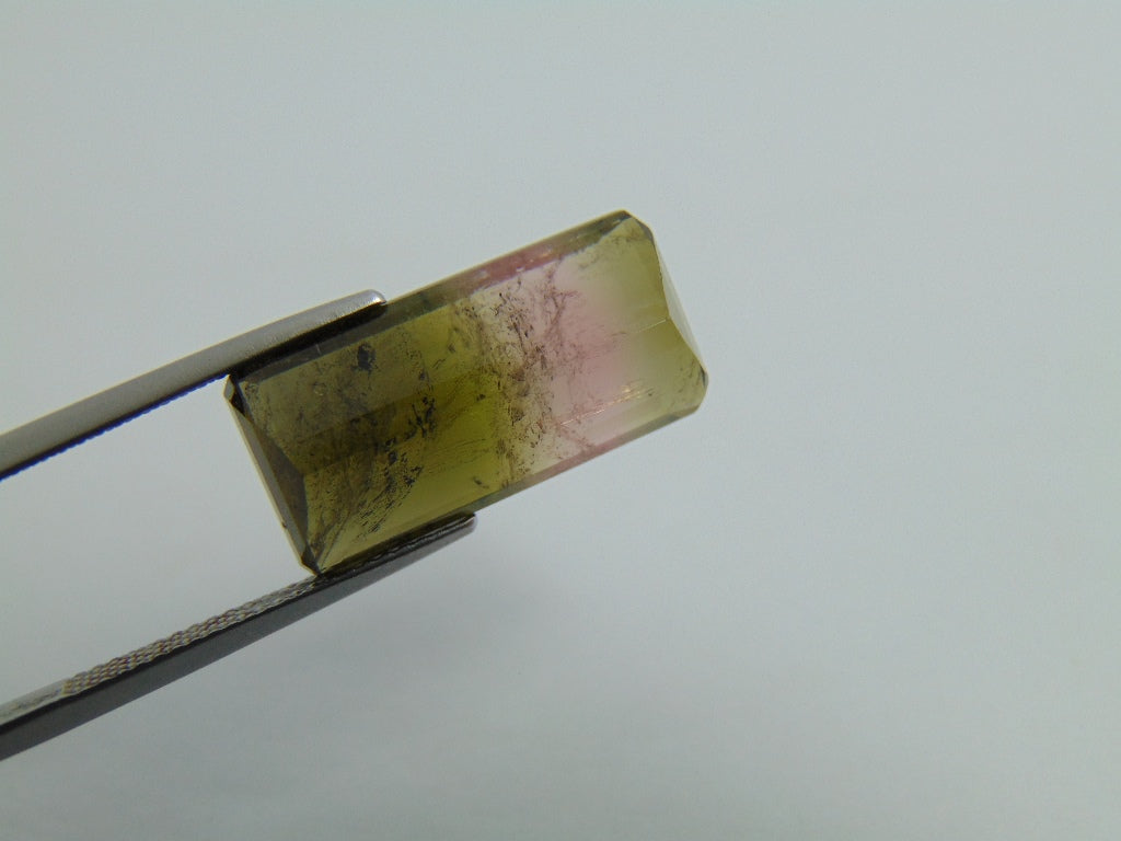 13cts Tourmaline (Bicolor)