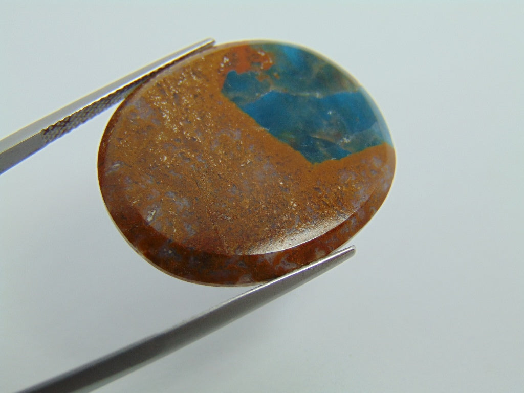 19.80ct Jasper with Apatite 18x14mm