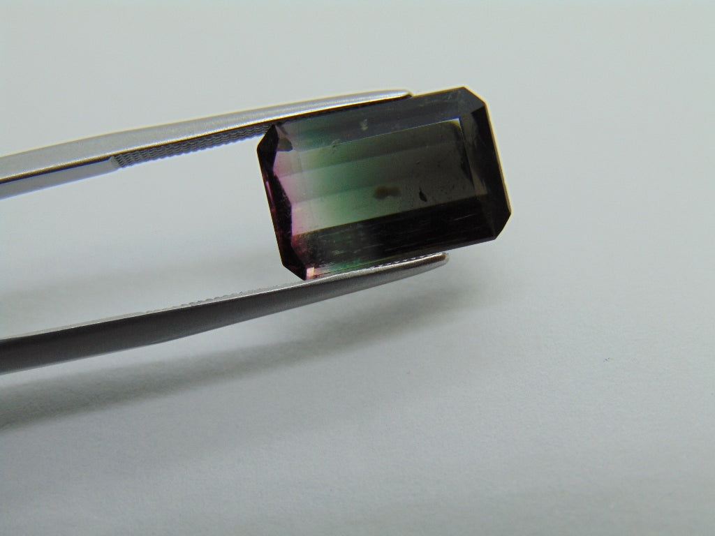 6.80ct Tourmaline Bicolor 13x9mm