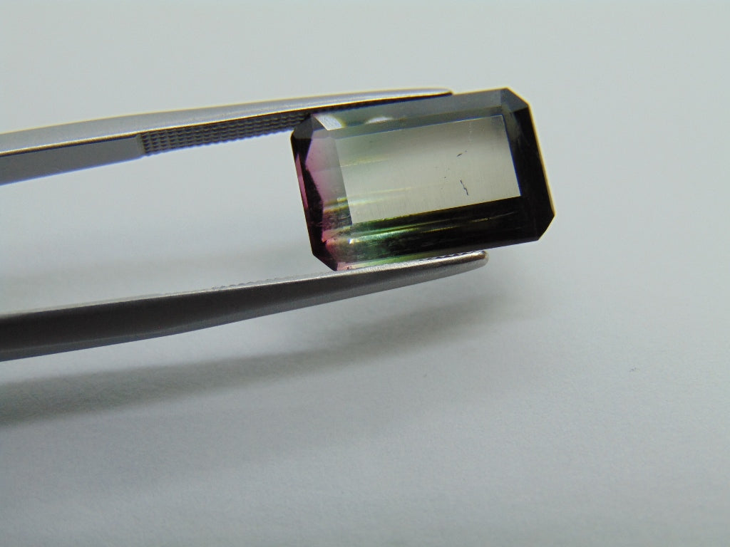 6.80ct Tourmaline Bicolor 13x9mm