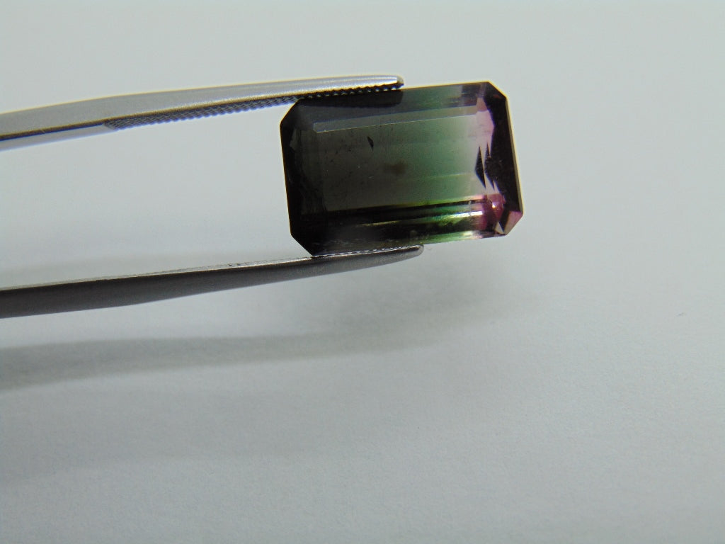 6.80ct Tourmaline Bicolor 13x9mm