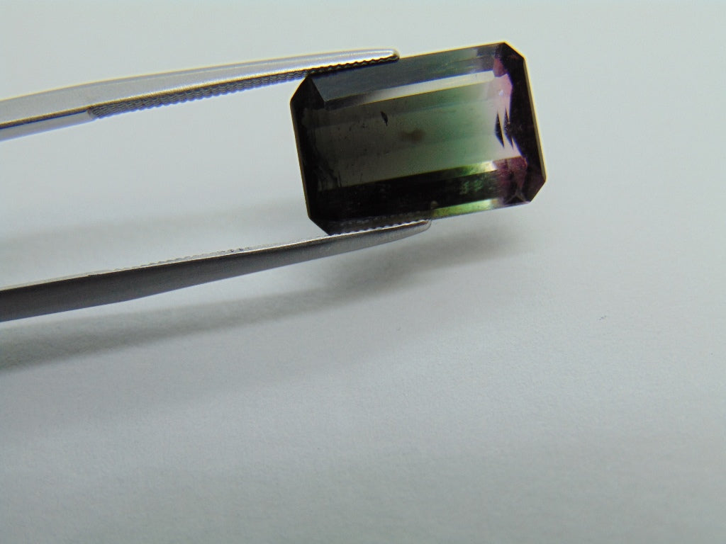 6.80ct Tourmaline Bicolor 13x9mm