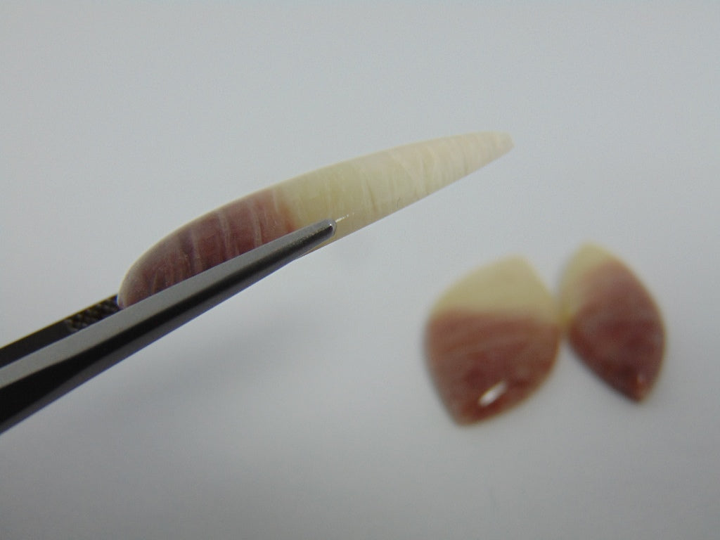 37.50ct Amazonite Bicolor