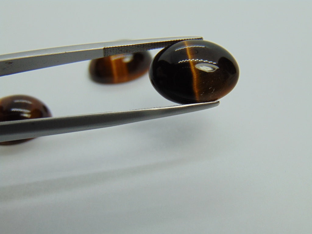 20.30cts Quartz (Tiger Eye)