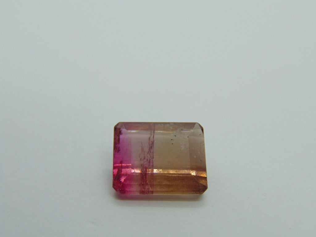 9.80cts Tourmaline (Bicolor)