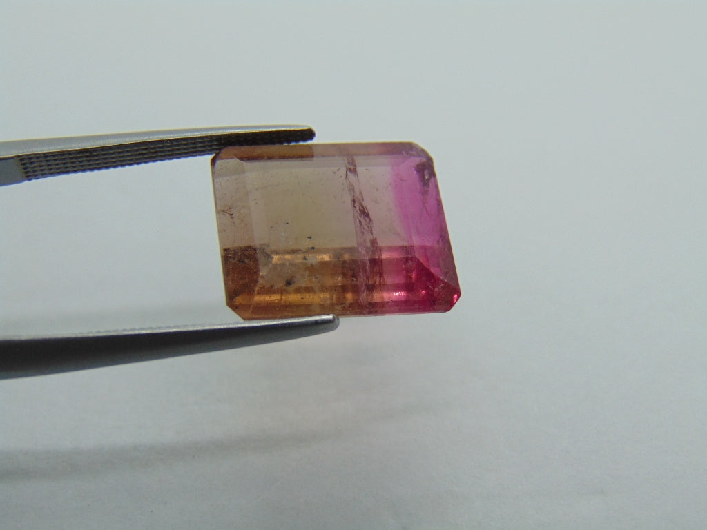 9.80cts Tourmaline (Bicolor)