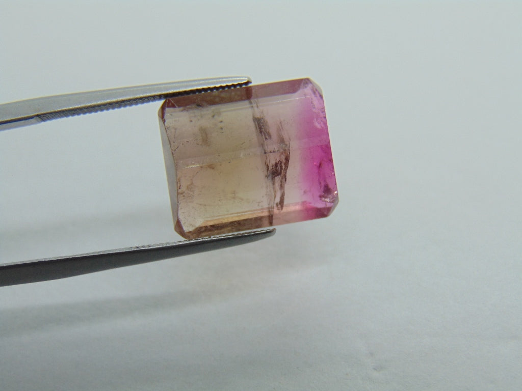 9.80cts Tourmaline (Bicolor)