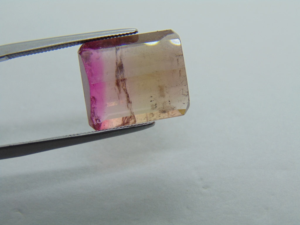 9.80cts Tourmaline (Bicolor)