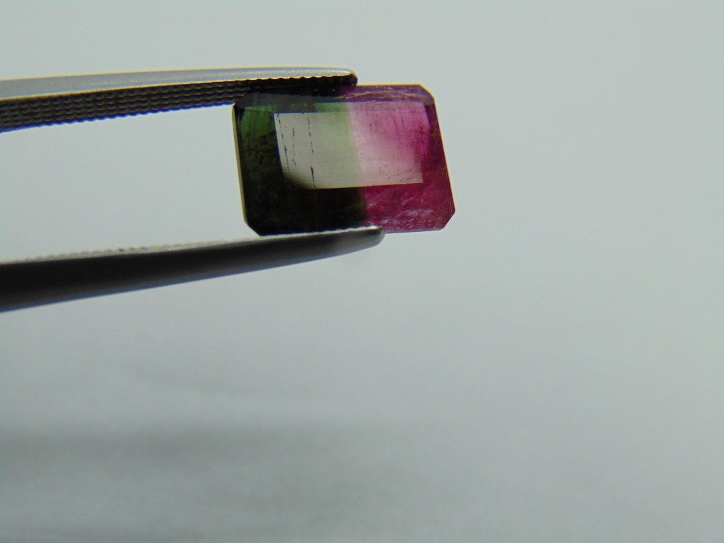 2.60cts Tourmaline (Bicolor)