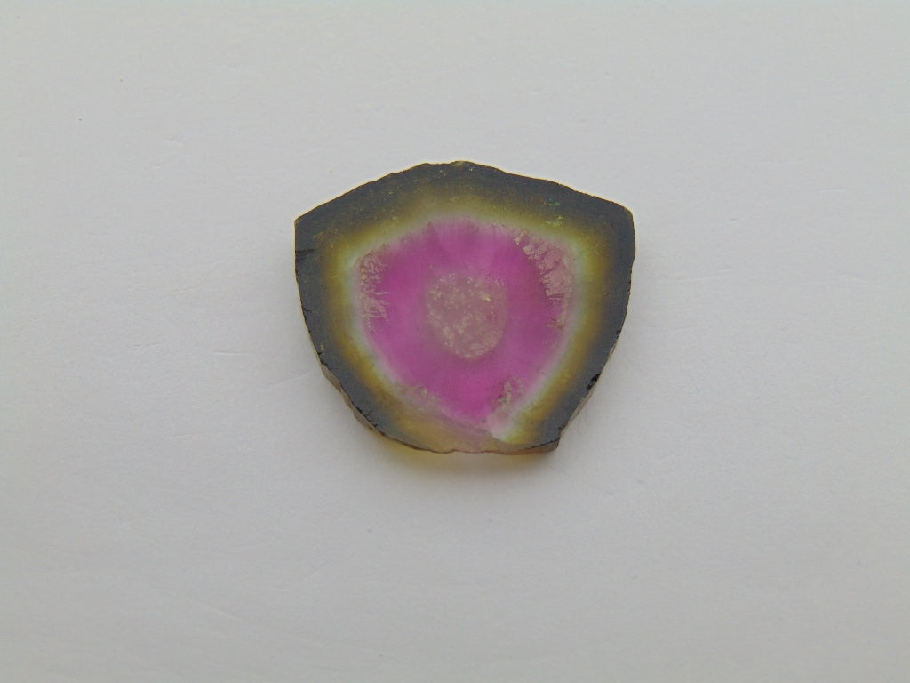 23.20ct Watermelon Tourmaline 25x24mm
