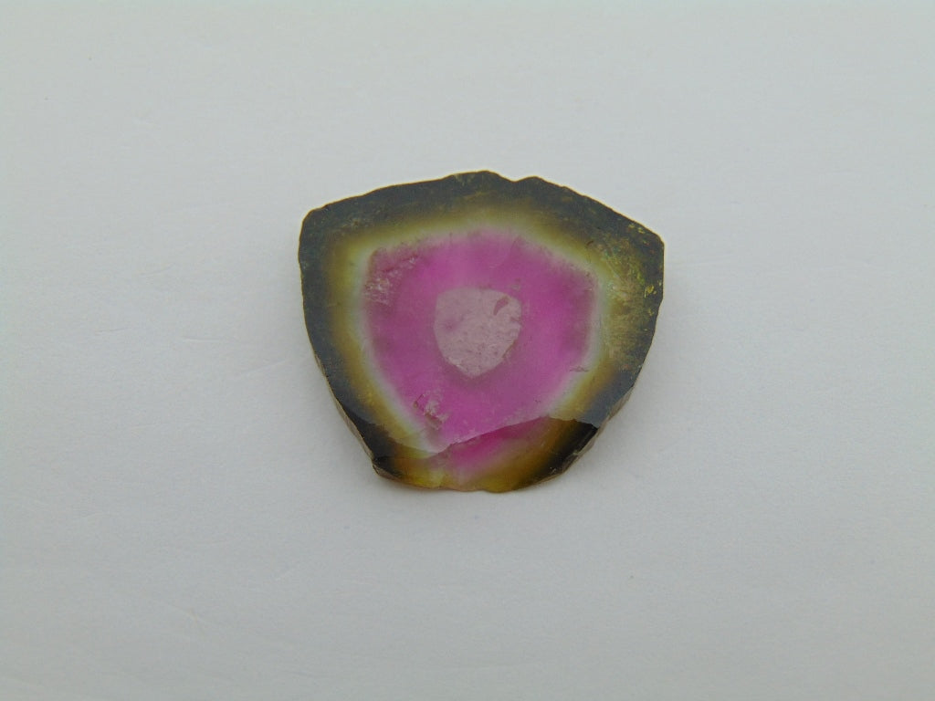 23.20ct Watermelon Tourmaline 25x24mm