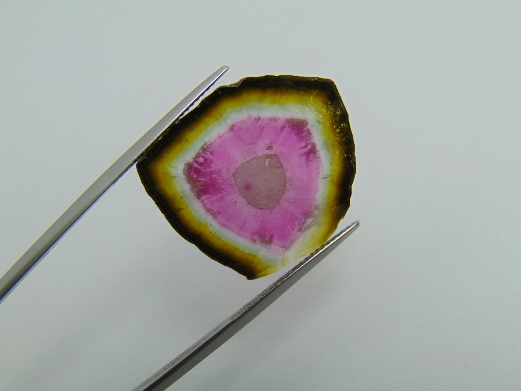 23.20ct Watermelon Tourmaline 25x24mm