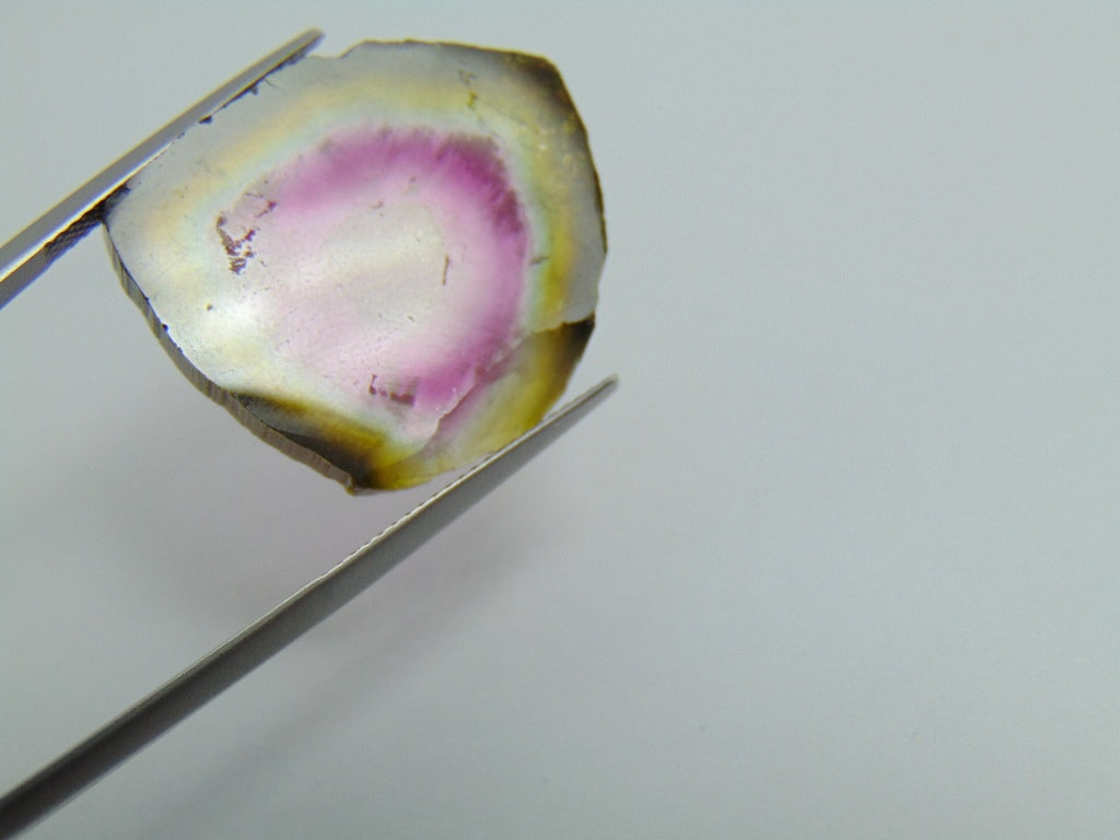 23.20ct Watermelon Tourmaline 25x24mm